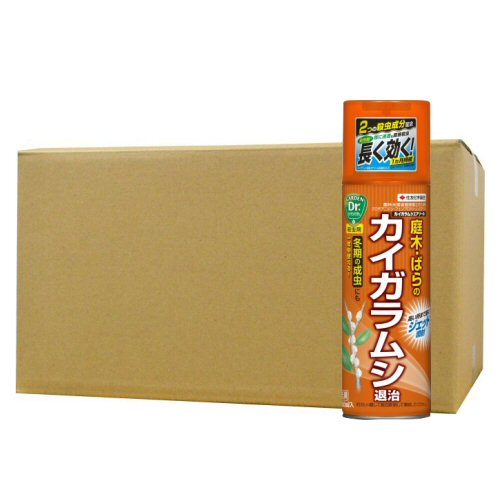 園芸用殺虫剤 カイガラムシエアゾール 480ml×24本 庭木 ばら 観葉植物 KINCHO園芸