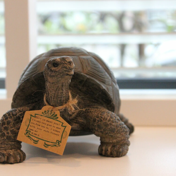 【楽天市場】最大3000円OFFクーポン配布中★ペットバンク PET BANK カメ TORTOISE 975【貯金箱 動物 置き物 置物