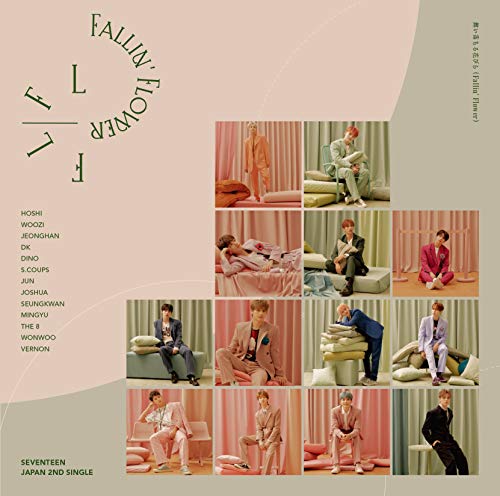 【中古】(CD)舞い落ちる花びら (Fallin' Flower)(通常盤)