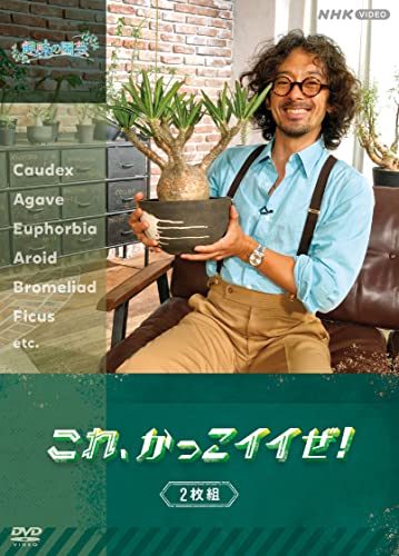 【中古】趣味の園芸 これ、かっこイイぜ! セット 7,138円