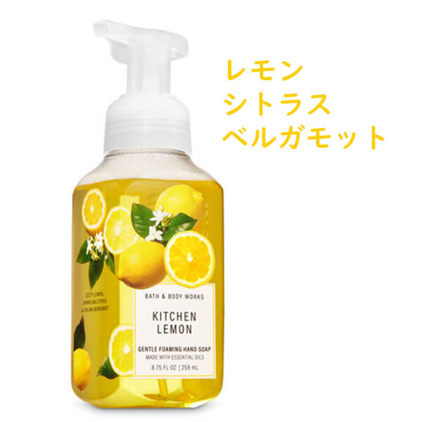 ポイント10倍 スーパーセール バス ボディワークス ハンドソープ 5本セット 定番の香り フォーミングハンドソープ Bath Body Works Schwimmbad Delphine De