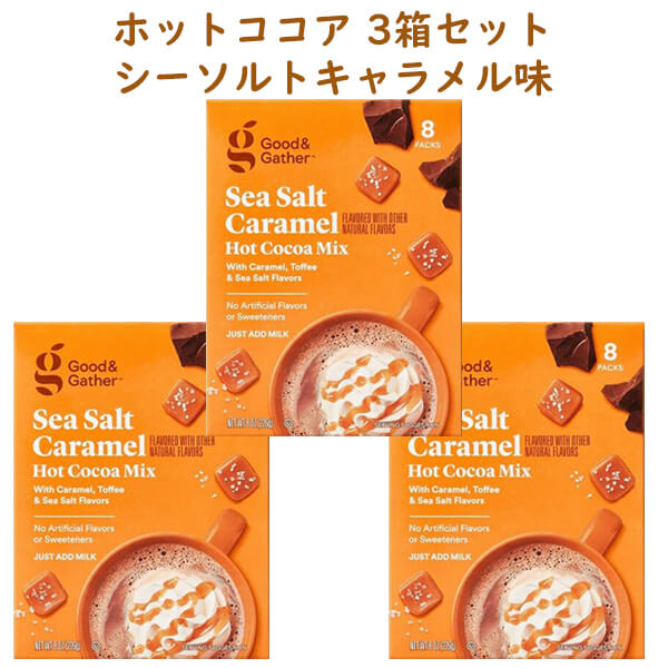 ☆3箱セット 24杯分☆ ホットココア ミックス シーソルトキャラメル味 1箱 8袋入り Good & Gather グッド&ギャザー