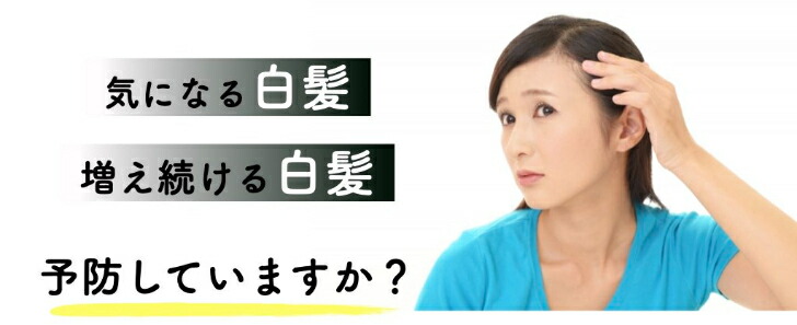 イーズ墨染めシャンプー 白髪 細毛 パサつき 乾かす 危害 髪質造直し エイジングのお困難がこれ つで説き明かす手がける Ficap Fr