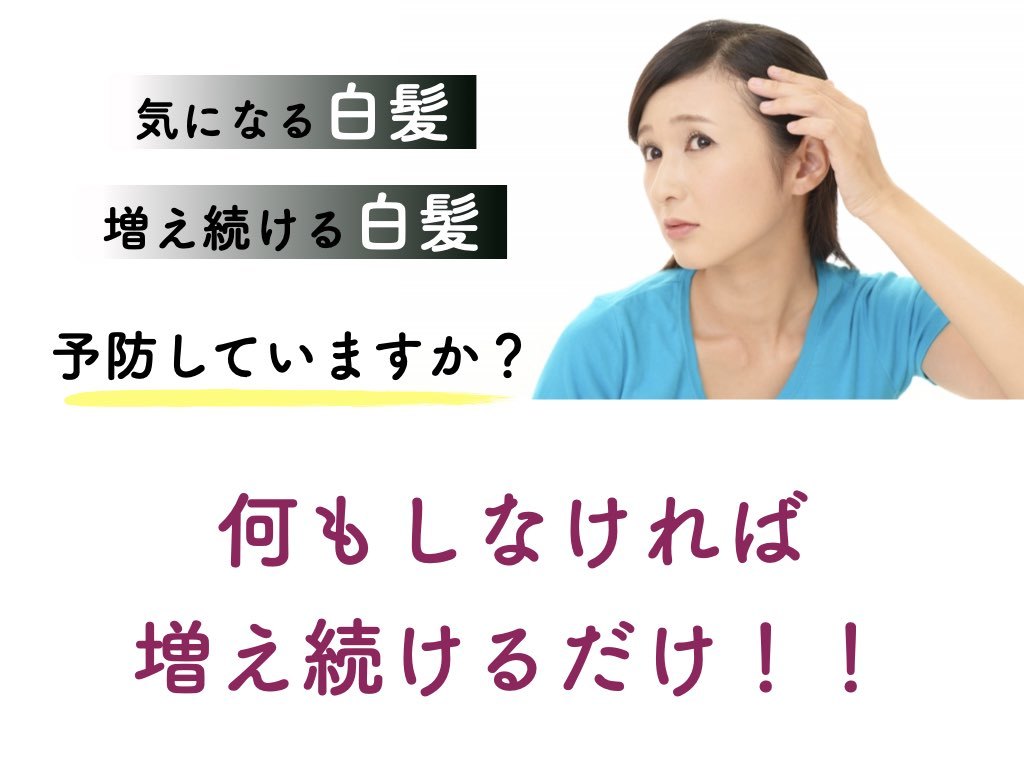 楽天市場 美容室専売 白髪改善 クロカツ水 お得セット 100ml 300ml 白髪予防 白髪 染めない ヘアトニック ケラチン ダークニル 送料無料 白髪を黒髪に戻すローション トニック 改善美容shop