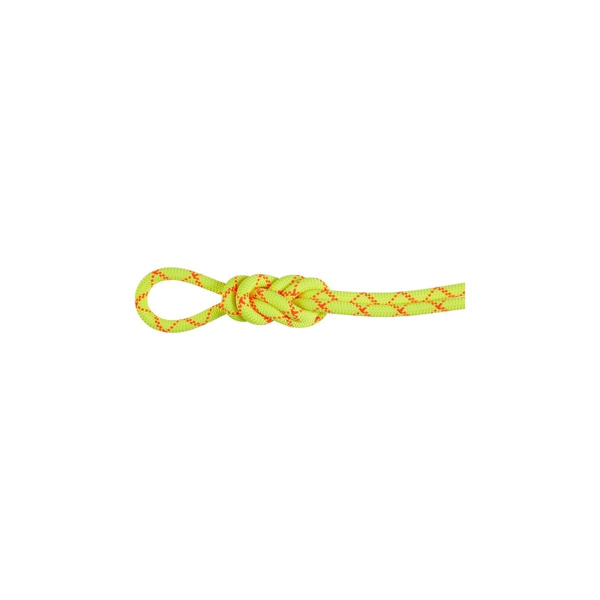 マムート MAMMUT 9.5 アルパイン コア プロテクト ドライ ロープ 40m 201005420 アウトドア 登山 キャンプ トレッキング ハイキング タウンユース 普段使い レジャー 軽量 丈夫 高耐久 高機能 撥水 動きやすい