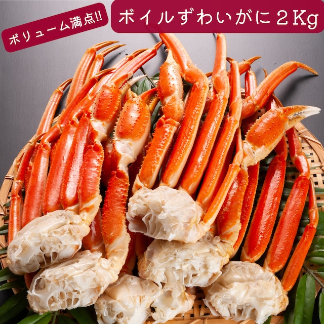特大　太脚ボイルズワイガニ化粧箱　２Kg【送料無料】
