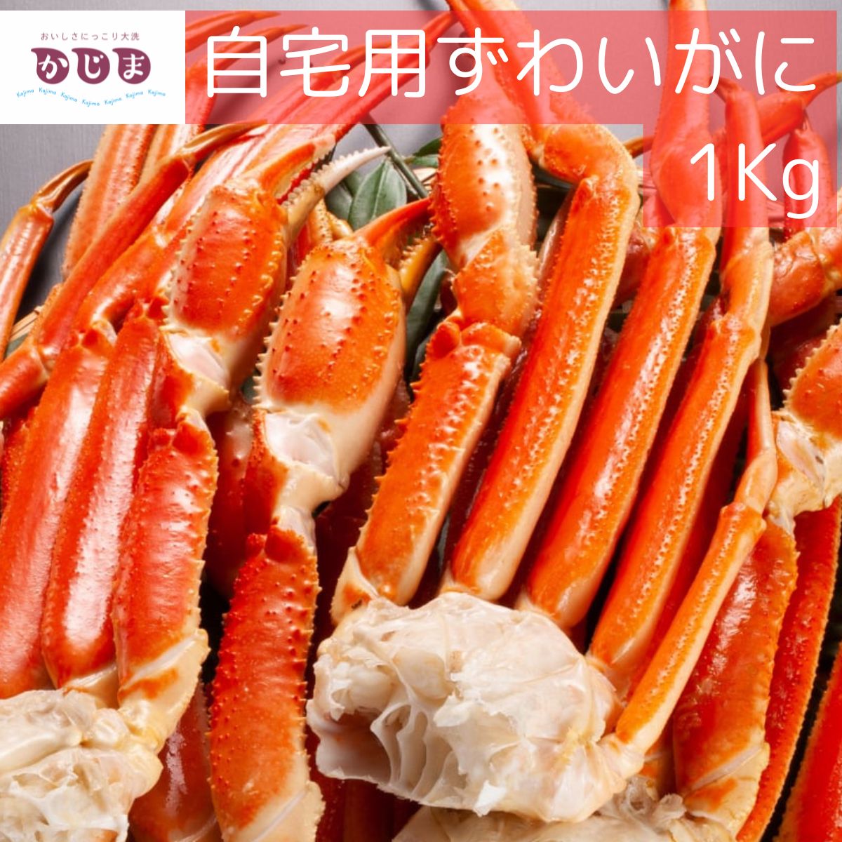 ずわいがに１kgボイル　かに専門店かじま【送料無料】