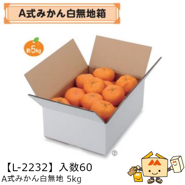 【個人宅不可】フルーツ 柑橘用 箱 A式みかん白無地5kg 品番L-2232 ケース販売 入数60 サイズ370×262×140mm 送料無料 ヤマニパッケージ ヤマニ みかん オレンジ 紙 ダンボール 社内0200070102601