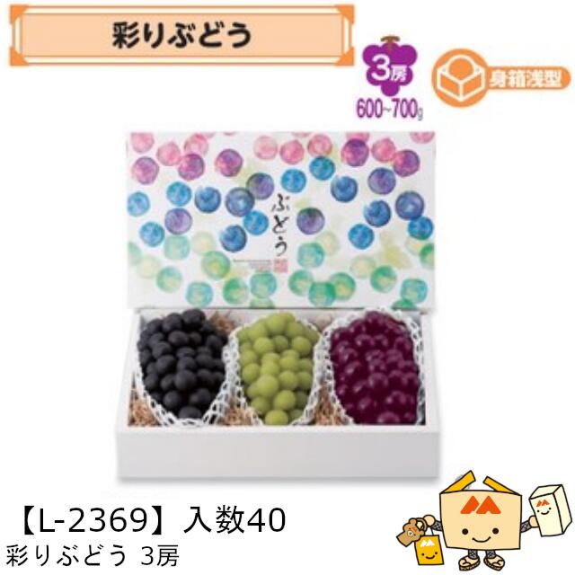 【個人宅不可】フルーツ ぶどう用 彩りぶどう3房 品番L-2369 ケース販売 入数40 サイズ350&times;200&times;140mm 送料無料 ヤマニパッケージ ヤマニ ブドウ 葡萄 紙 ダンボール 社内0200070102942｜黒にんにく＊大和ねいちゃー倶楽部
