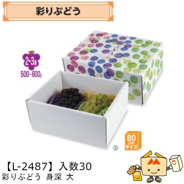 楽天市場】【個人宅不可】フルーツ ぶどう用 粒ぶどう18H 品番L-2512