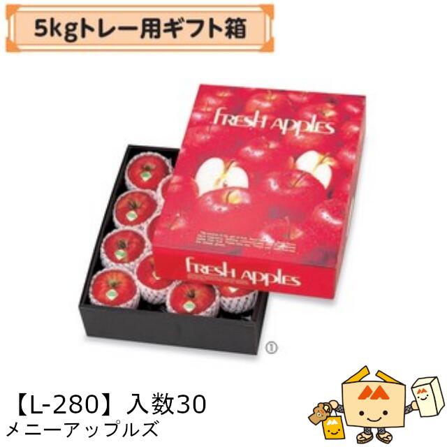 楽天市場】【個人宅不可】フルーツ りんご用 発送箱 A式りんご白無地