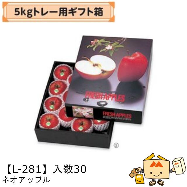 【個人宅不可】フルーツ りんご用 5kgトレー用ギフト箱 ネオアップル 品番L-281 ケース販売 入数30 サイズ345×435×105mm 送料無料 ヤマニパッケージ ヤマニ リンゴ 林檎 アップル 紙 ダンボール 社内02000701