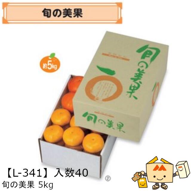 【個人宅不可】フルーツ 柑橘用 箱 旬の美果 5kg 品番L-341 ケース販売 入数40 サイズ220×330×140mm 送料無料 ヤマニパッケージ ヤマニ みかん オレンジ 紙 ダンボール 社内02000701