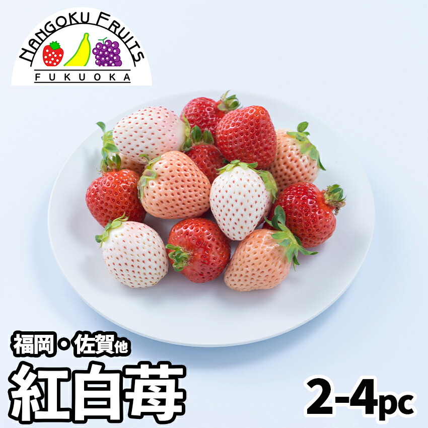 楽天市場】佐賀県産 いちご いちごさん 秀品 L〜3Lサイズ 4