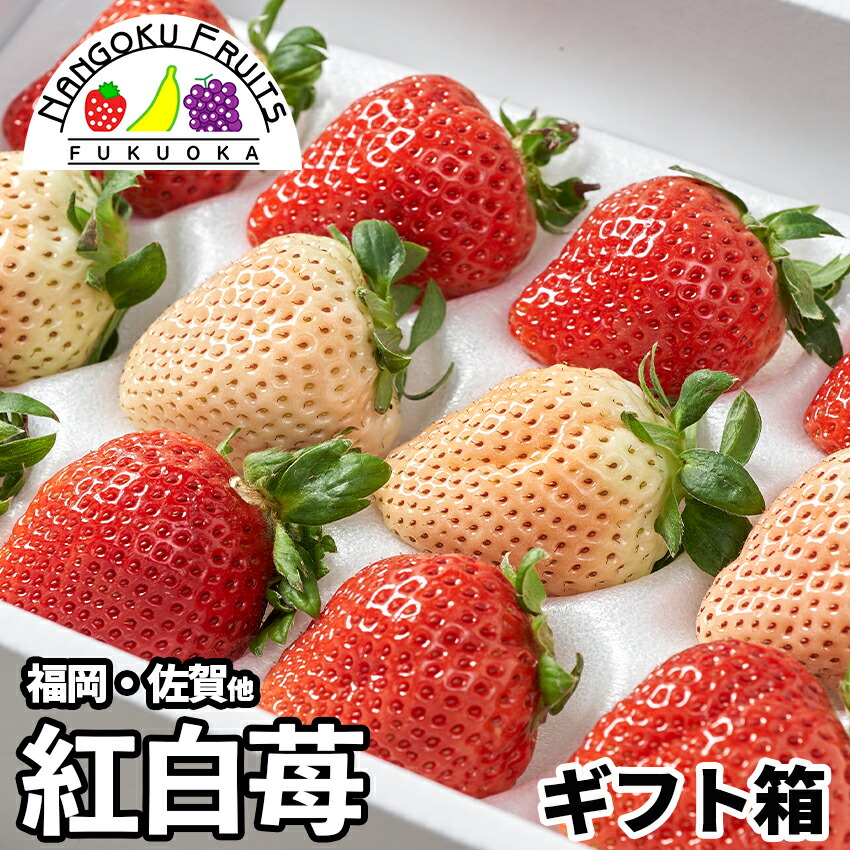 いちご様　専用 エフピコチューパ VラップロールいちごH-Ⅰ [ft] (6本) CP786272