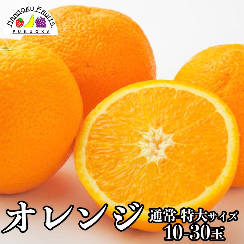 アメリカ産 オレンジ画像