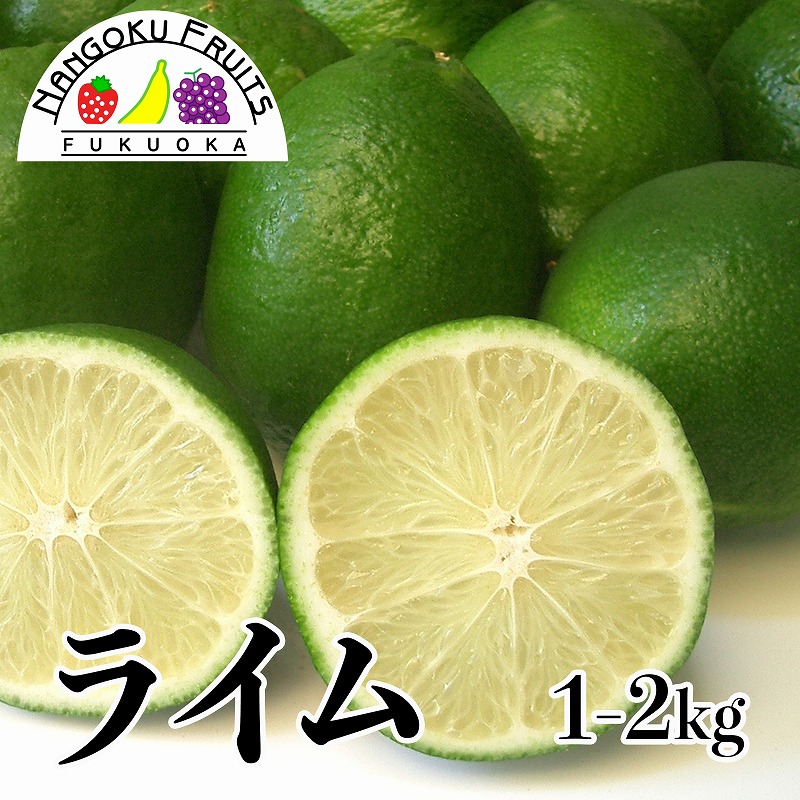 【楽天市場】メキシコ産 ライム:南国フルーツ 楽天市場店