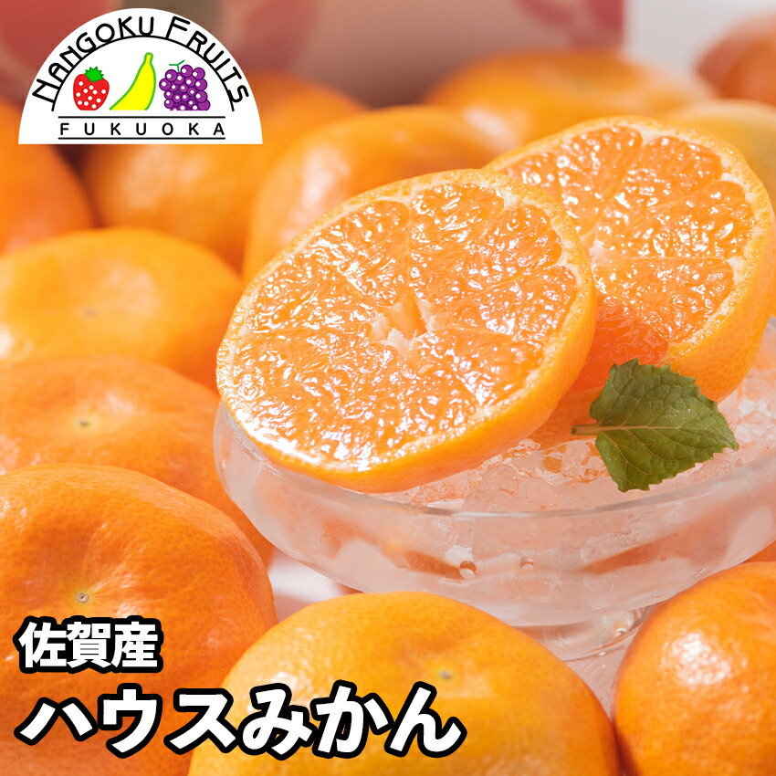楽天市場】山下紅みかん 5Kg 唐津・ベリーレアファーム 九州