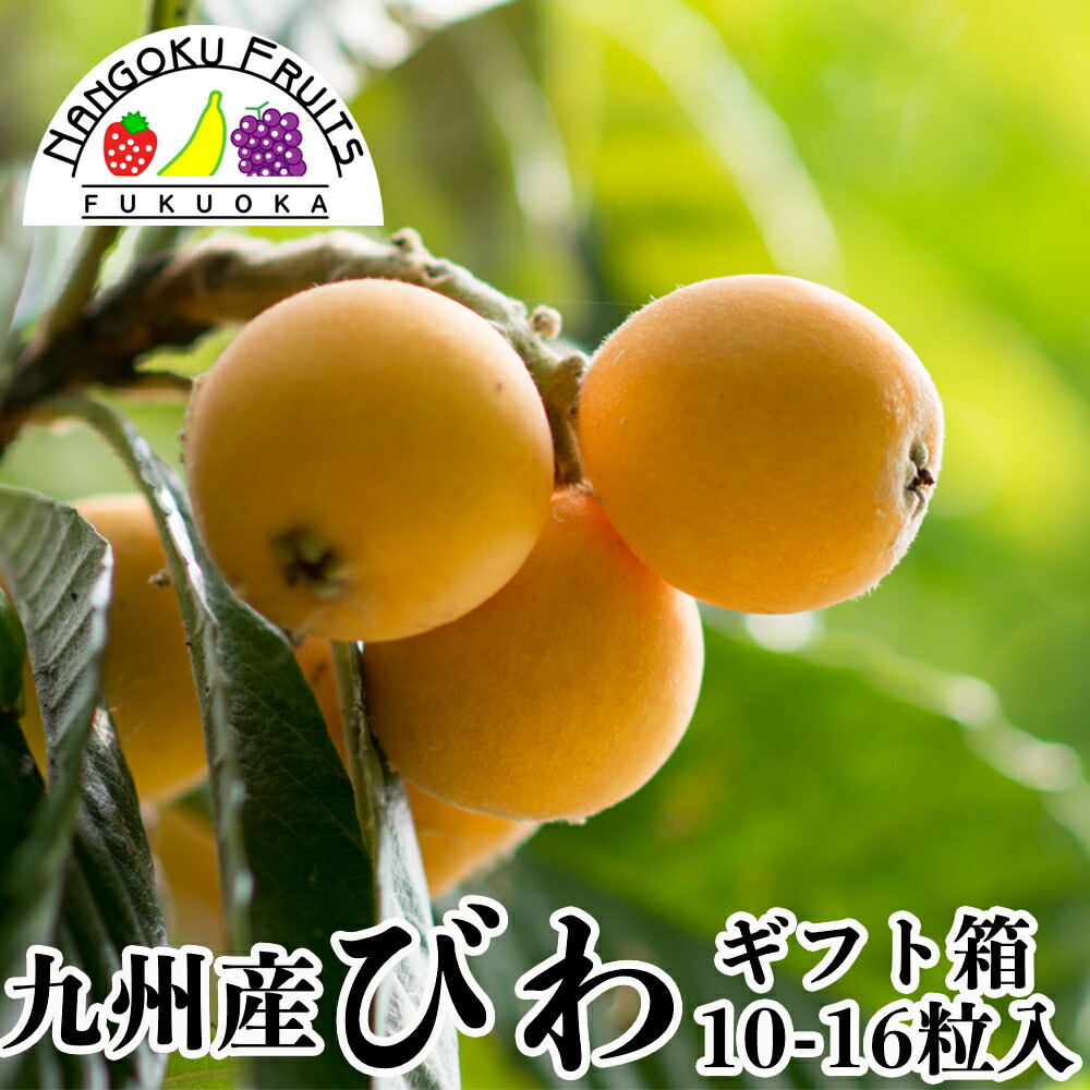 楽天市場 送料無料 九州産 びわ 2パック 10 16粒 南国フルーツ 果実村ｔｏｋｉｏ