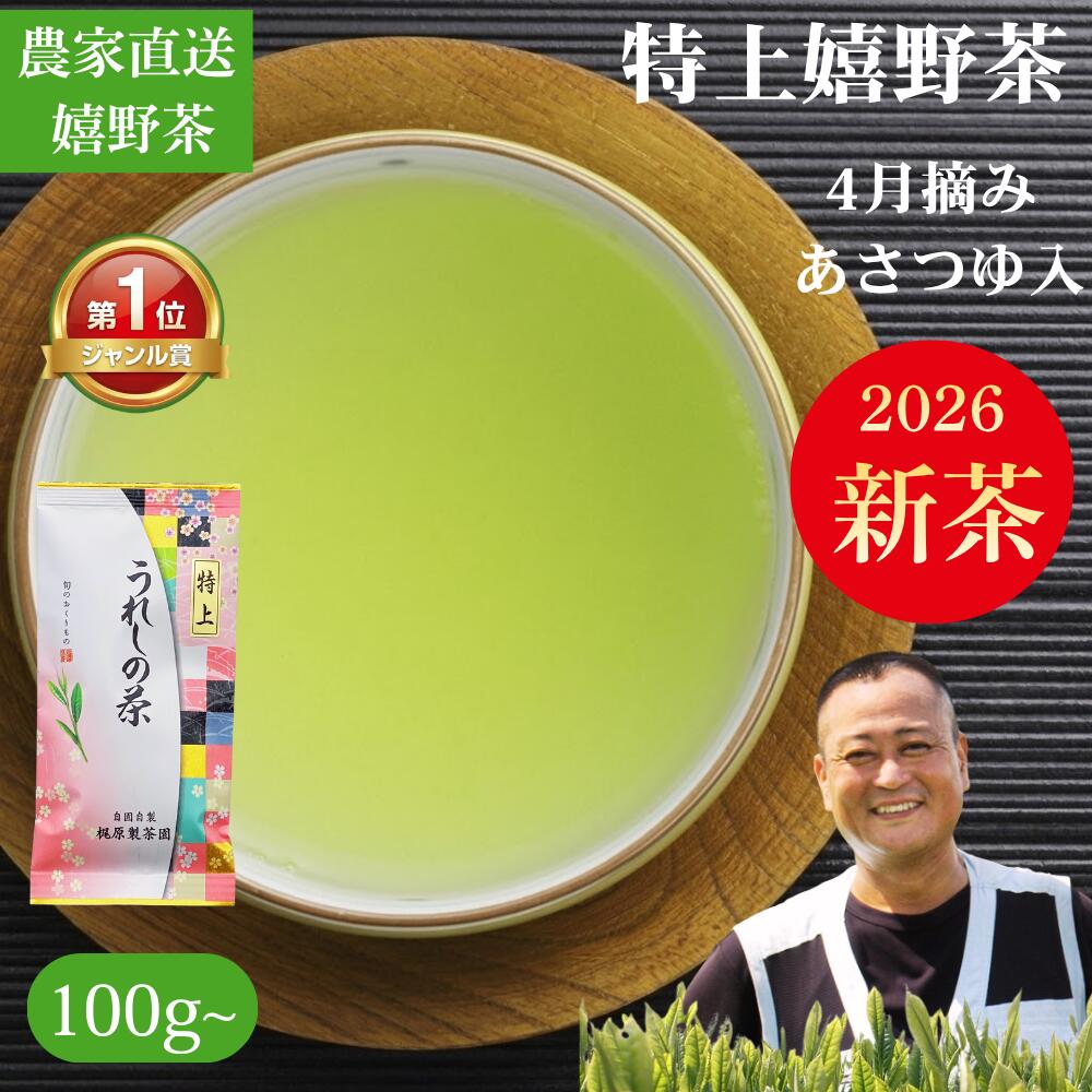 【マラソン限定ポイント5倍】2026新茶 お茶 緑茶 嬉野茶 特上（100g～）農家直送 日本茶 煎茶 茶葉 玉緑茶 ぐり茶 上級 一番茶 濃厚な味と香り 100杯以上 梶原製茶園 産地直送 メール便 送料無料 ギフト プレゼント 贈り物 おもてなし 母の日｜茶農家　梶原製茶園