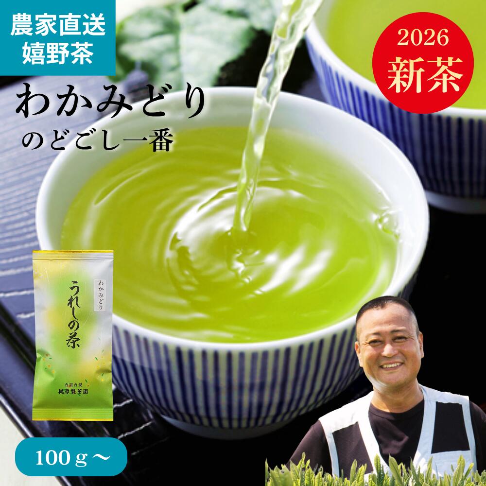 【マラソン限定ポイント5倍】2026新茶 嬉野茶 わかみどり(100g~) 農家直送 お茶 日本茶 緑茶 煎茶 茶葉 玉緑茶 ぐり茶 九州 うれしの茶 すぐに出るお茶 何煎も飲める 力強い緑茶 佐賀県産 春摘み 一番茶 100% 熱湯で美味しい お茶の葉 お茶っ葉 普段使い|茶農家 梶原製茶園