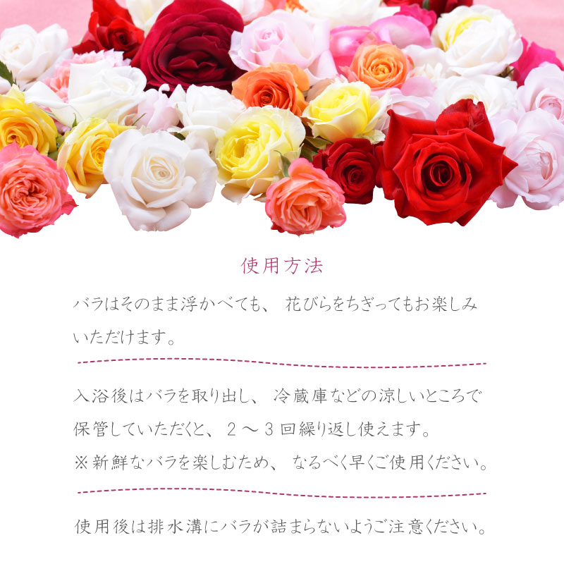 楽天市場 バラ風呂 生花 ローズバス 薔薇 バラ 送料無料 ギフト プレゼント ホワイトデー 誕生日 御祝 フラワーシャワー Fleur Town 吉本花城園