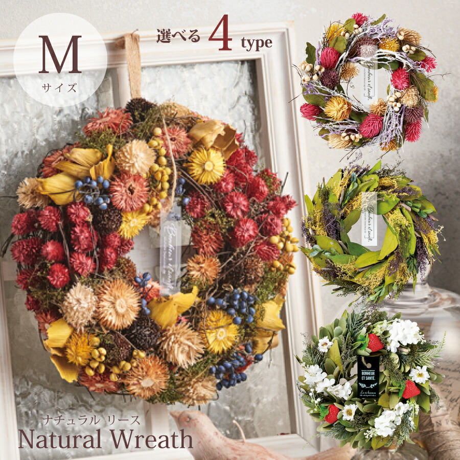 楽天市場】送料無料 アナベルのナチュラルリース ドライフラワー 敬老