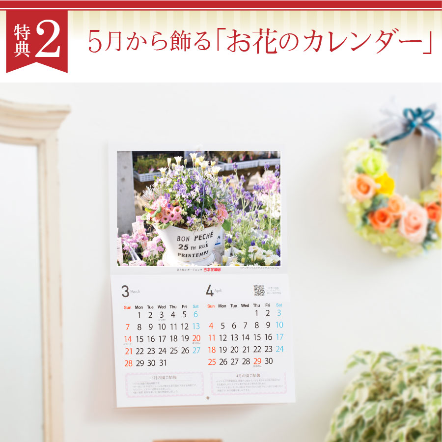楽天市場 遅れてゴメンね 母の日 プレゼント 花色おまかせ カーネーション とおまかせお菓子のセット 花とスイーツ 2 Fleur Town 吉本花城園 楽天市場 遅れてゴメンね 母の日 プレゼント 花色おまかせ カーネーション とおまかせお菓子のセット 花とスイーツ 2 Fleur Town 吉本花城園