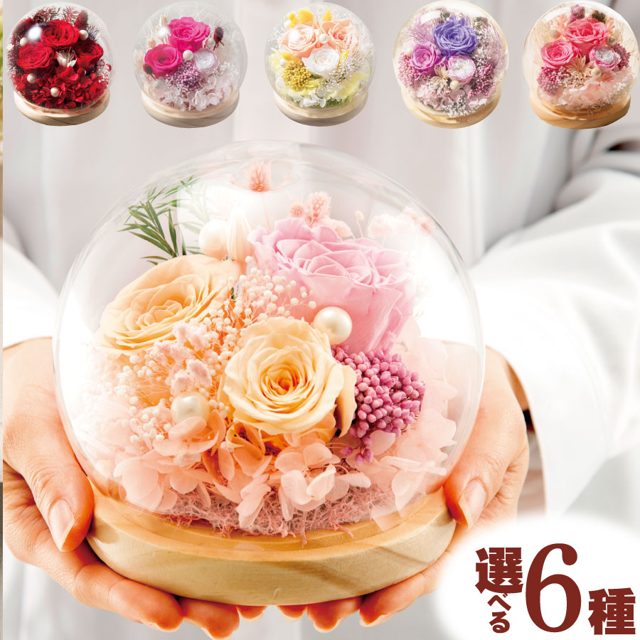 楽天市場】月ヶ瀬 紅茶 セット ※ソープフラワーとのセットでお