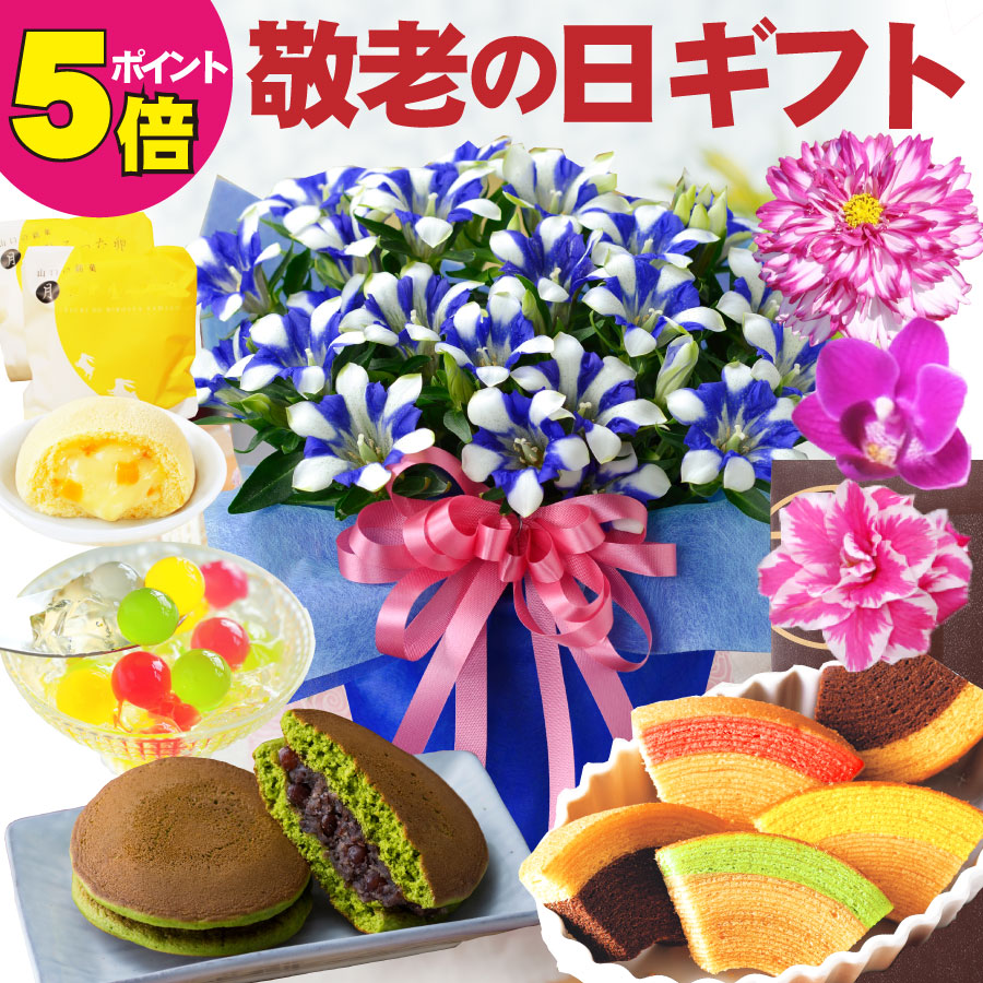 楽天市場】おまかせ 季節の鉢花 園芸専門店が選ぶ！ 4号 から 6