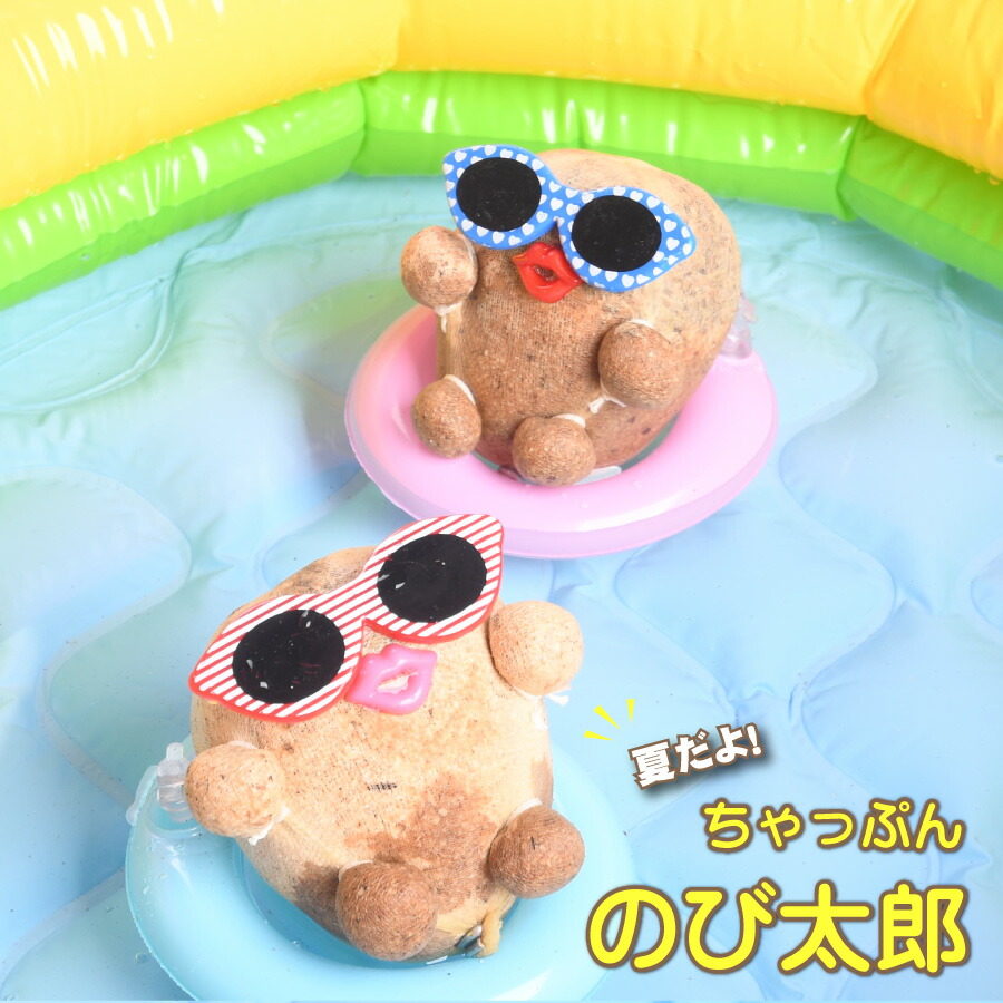 楽天市場】夏の かき氷 ちゃっぷん のび太郎 ハイドロカルチャー