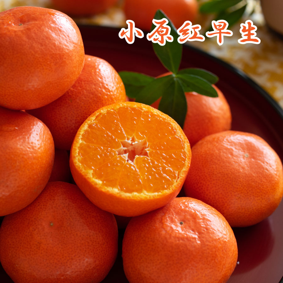 ミカン B38 外皮をむいた冷凍みかん 「むかん」30個 （1袋2個入×15袋