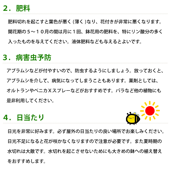 楽天市場 ハイビスカス コレクション ５号鉢植え Fleur Town 吉本花城園