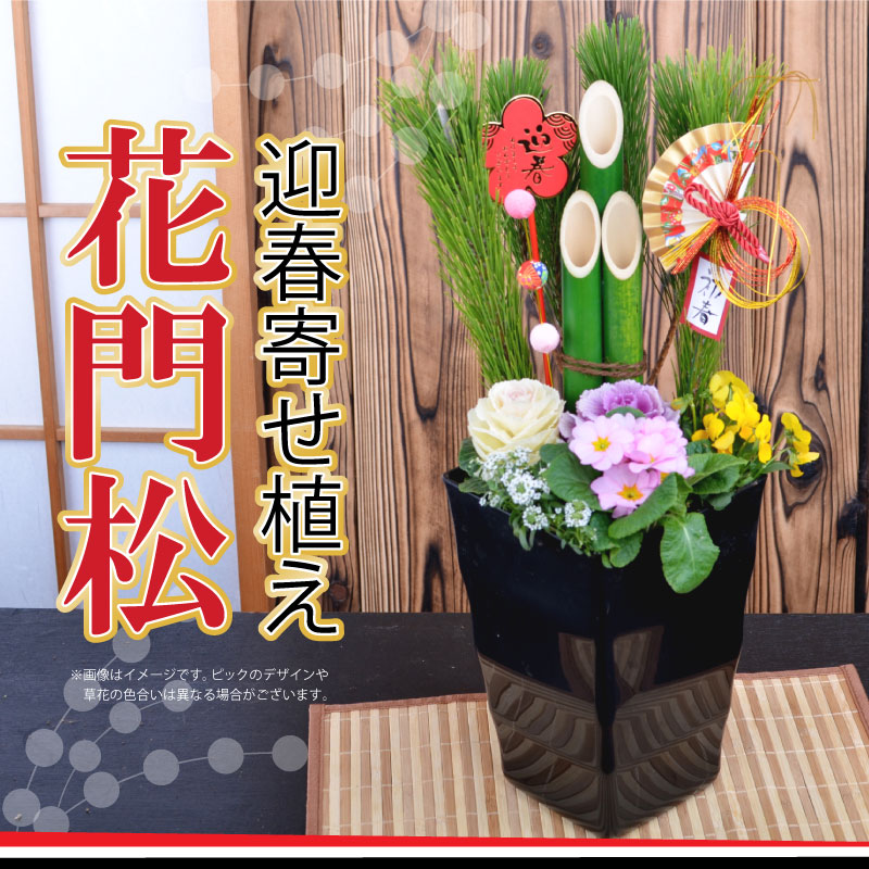 楽天市場 門松 迎春 寄せ植え 花門松 お正月アレンジ 玄関飾り お届け期間12月26日 12月31日 Fleur Town 吉本花城園