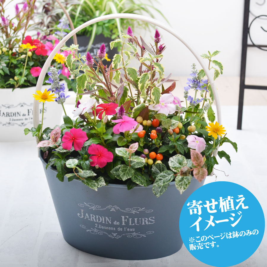 楽天市場 バスケット プランター 鉢 選べる6色 寄せ植え用 花苗用 球根用 におすすめ 苗は含みません 鉢のみです Fleur Town 吉本花城園