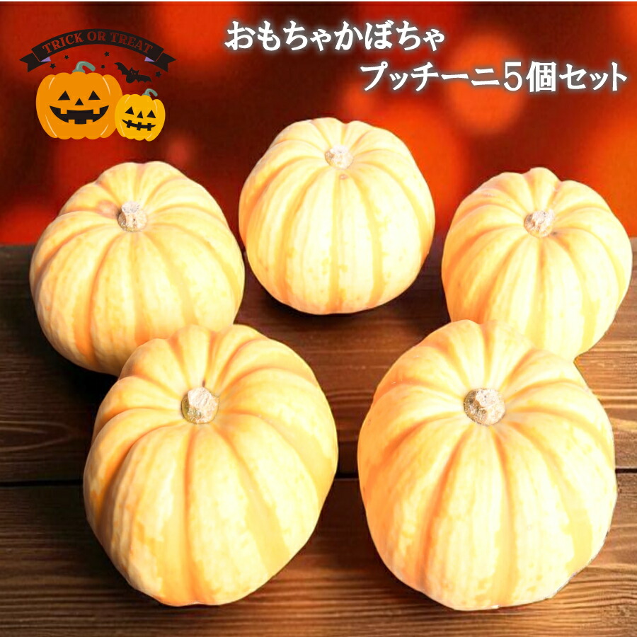 ハロウィン用　ミニカボチャ(プッチーニ)#1 88個 ハロウィン用 ミニカボチャ(プッチーニ)#1 88個 しっとり甘い