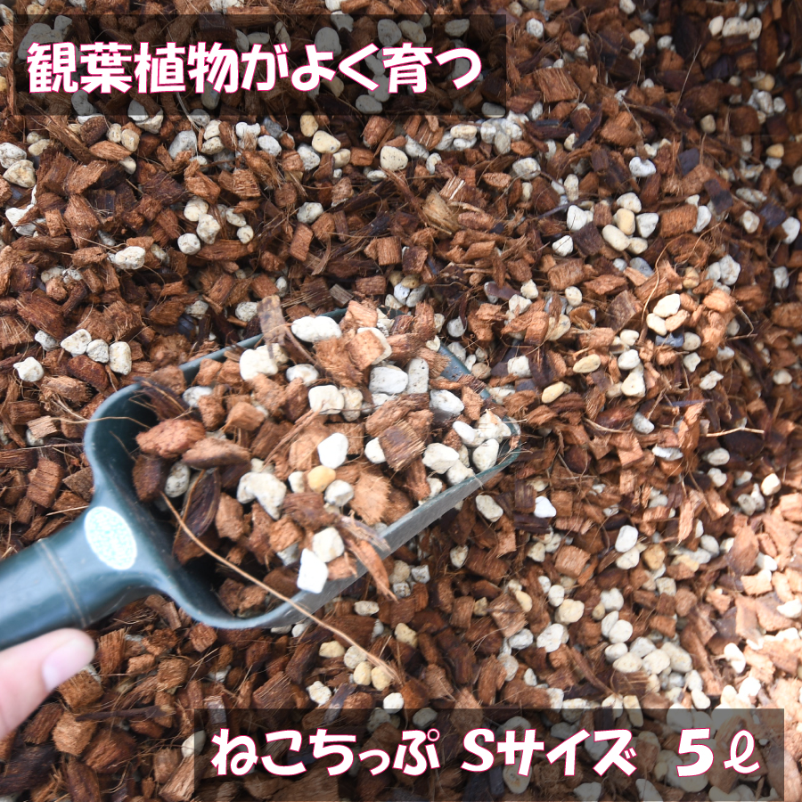 ねこ葉っぱ nekochips7.jpg