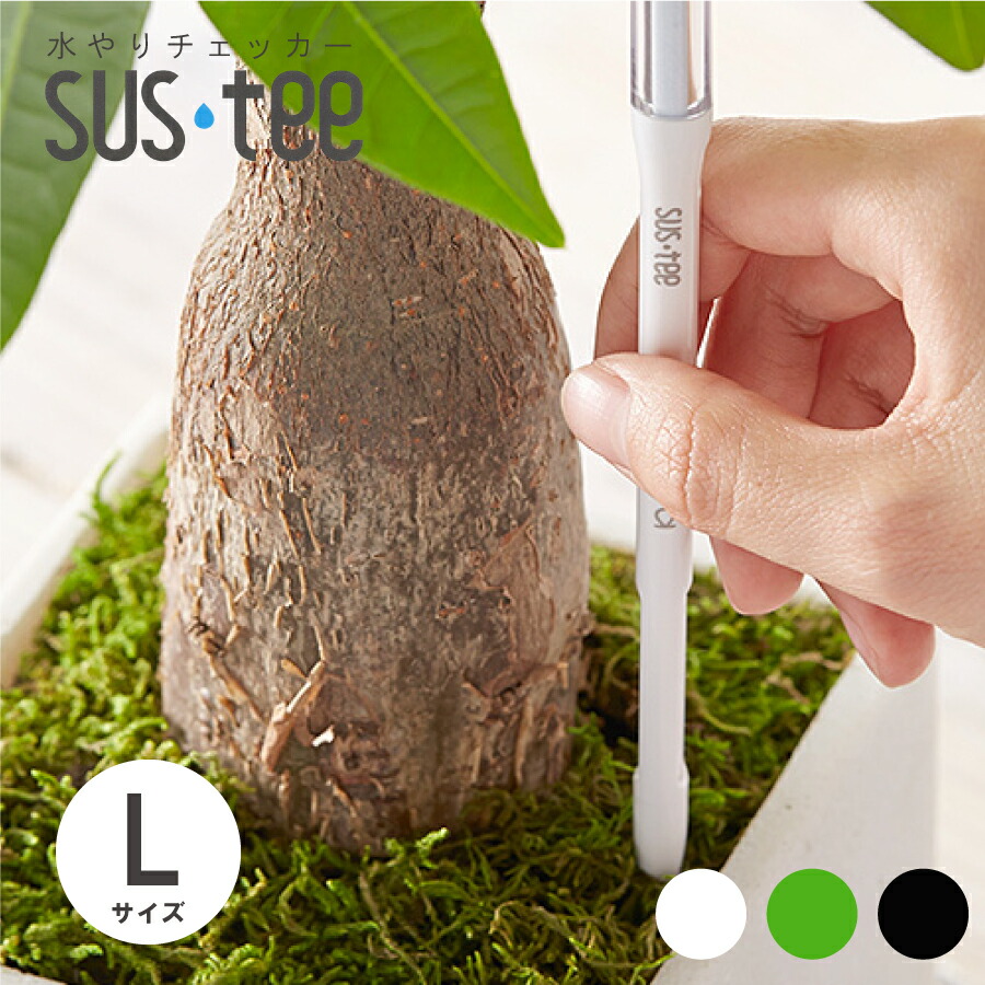 楽天市場】水やりチェッカー サスティー sustee M 水分計 C-0012 白