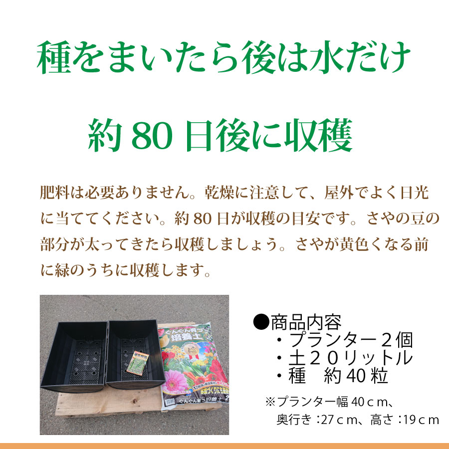 楽天市場 枝豆 栽培セット えだまめ 種 プランター 2個 土 リットル種から育てる 苗 にして収穫を楽しめる Fleur Town 吉本花城園 楽天市場 枝豆 栽培セット えだまめ 種 プランター 2個 土 リットル種から育てる 苗 にして収穫を楽しめる Fleur Town 吉本花城園
