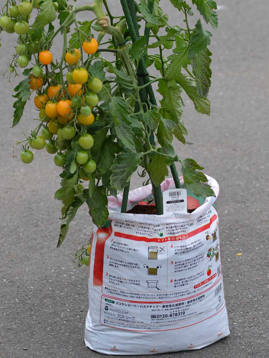 トマト 栽培セット 15l そのまま育てる トマトの土 専用支柱