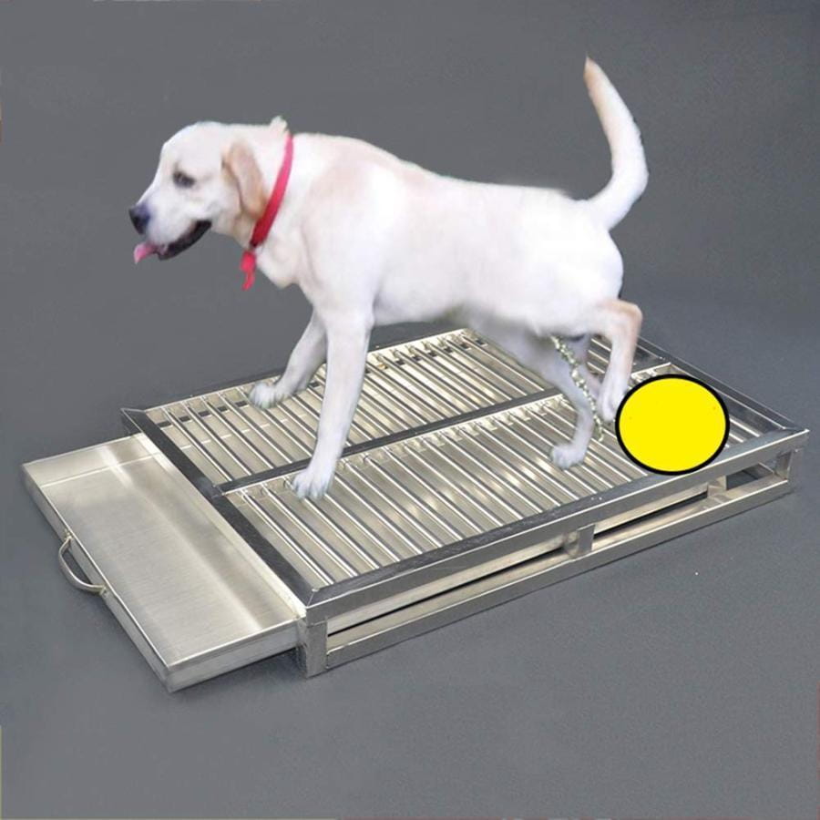 犬 トイレ、ステンレス鋼の犬のトイレ,ステンレススチールペットトレーニングトレイ, 屋内子犬トレーニングパッド,ペットトレーニング大容量防滴ノンスリップ|KAJOU SHOP
