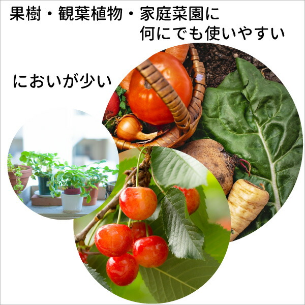 楽天市場】IB 肥料 2kg【ゆっくり効く】花、木、作物、何にでも！ゆっくり効く 10-10-10-1：花実樹