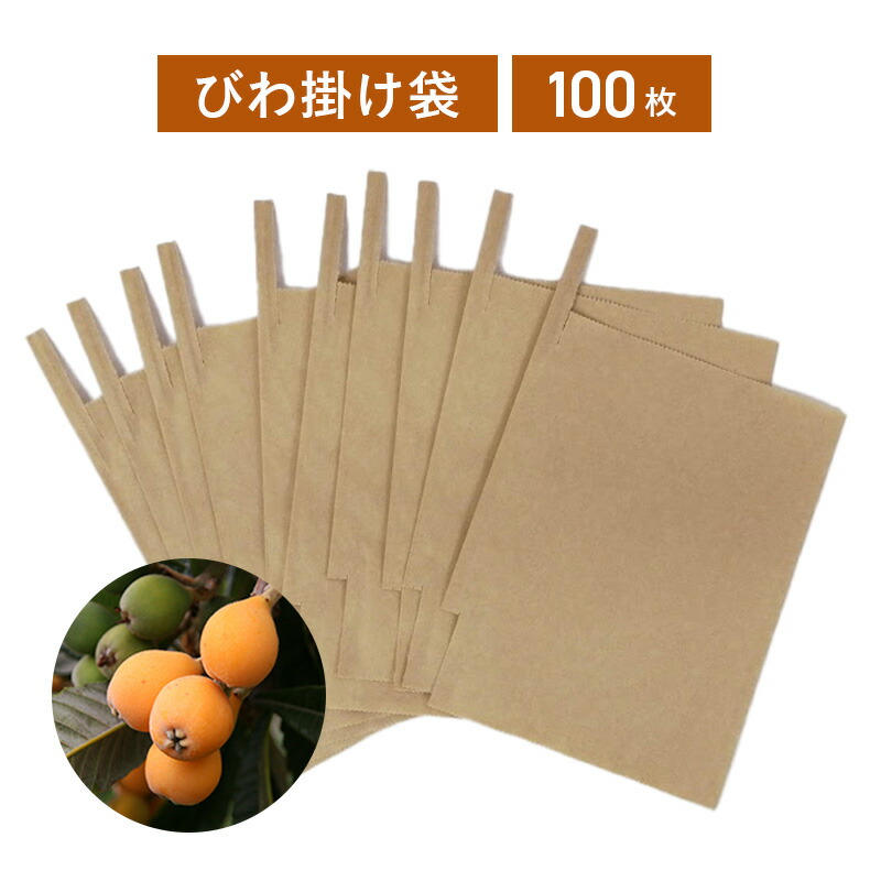 もも袋 きらめき6V強遮光袋1500枚