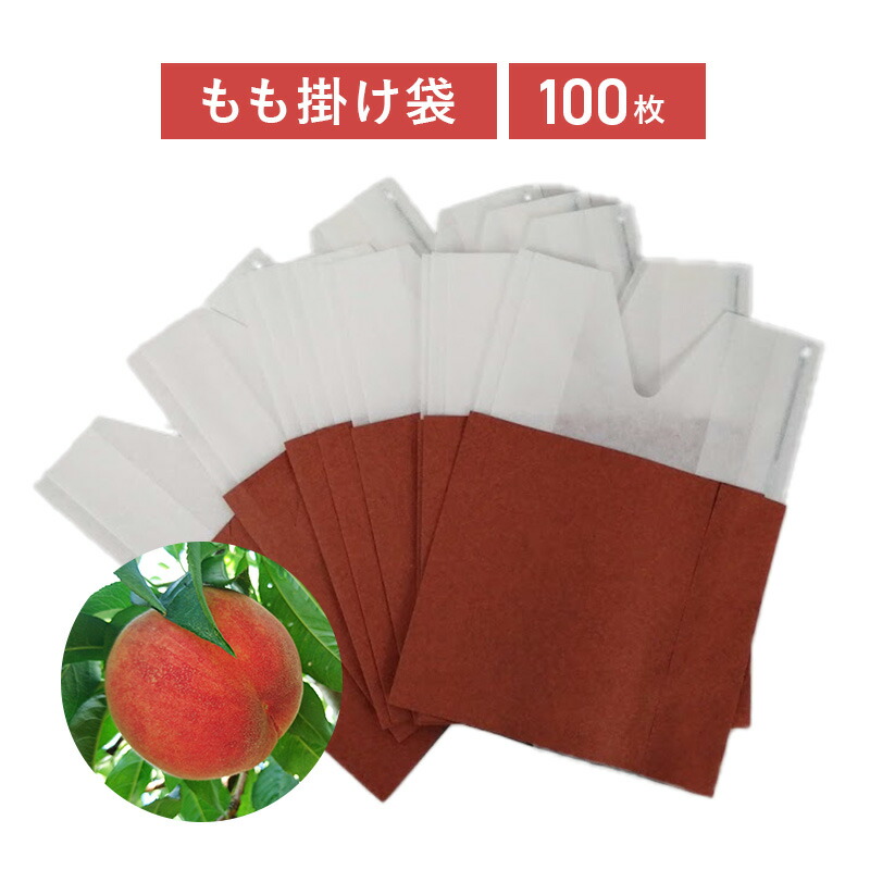 新鮮な桃 袋掛け栽培 たくさん入ってます6kg 新鮮な桃 袋掛け栽培 たくさん入ってます6kg 食品