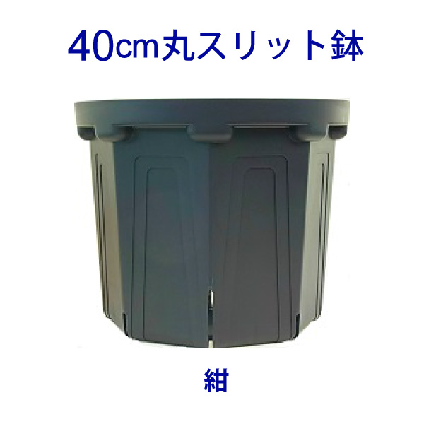 楽天市場】8号スリット鉢 直径24cm CSM-240 容量約6.1L : 花実樹