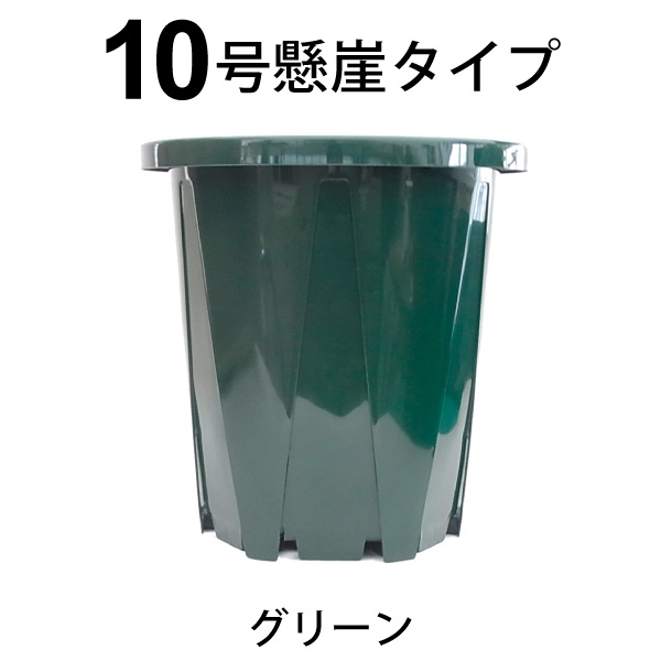 楽天市場 10号スリット鉢 懸崖タイプ 直径約31cm Csk 300 花実樹