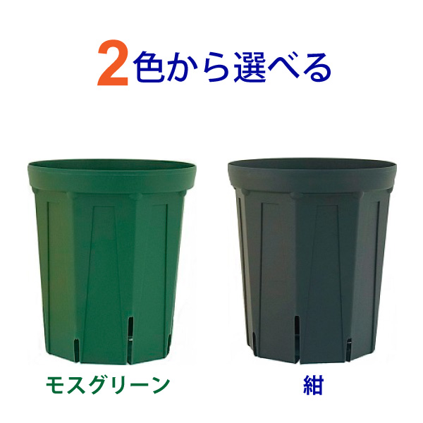 楽天市場 5号スリット鉢 ロングタイプ 直径15cm Csm 150l 花実樹