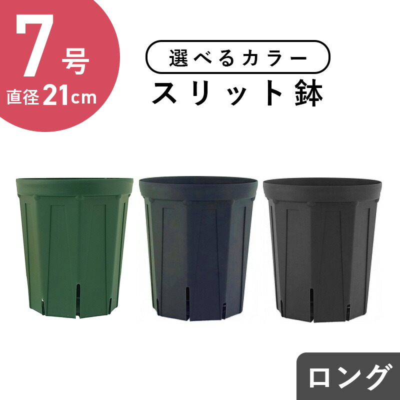 【楽天市場】5号スリット鉢（ロングタイプ） 直径15cm CSM-150L