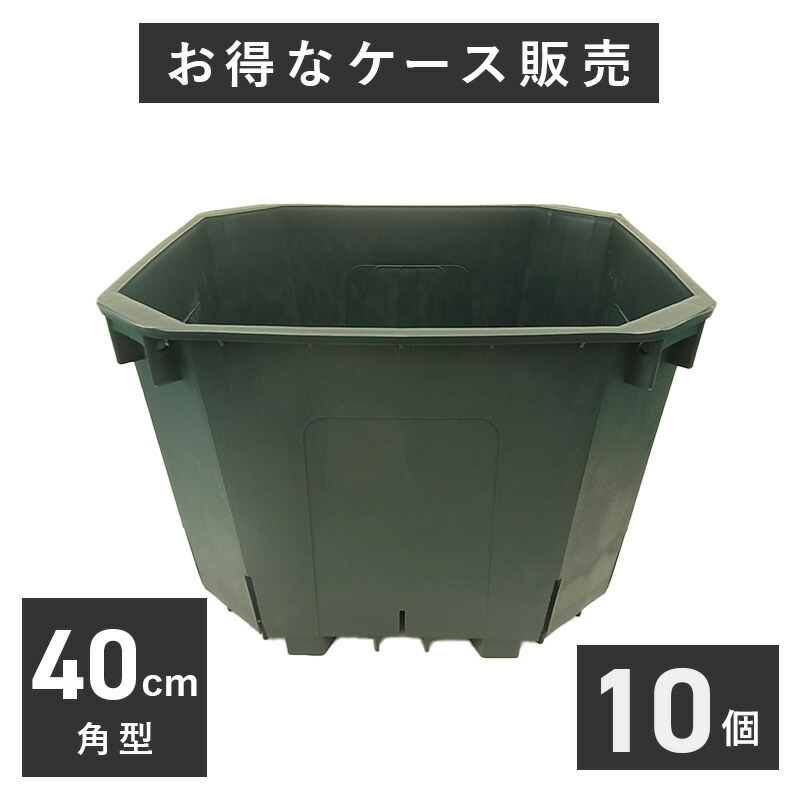 特大小判鉢　特大鉢　56センチ 楽天市場】特大50cm角スリット鉢 10個入りケース販売（65