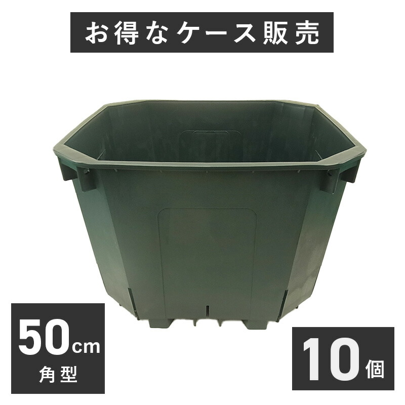 楽天市場】盆栽鉢 陶器 4〜10号 小判エン付鉢 おしゃれ 専門店